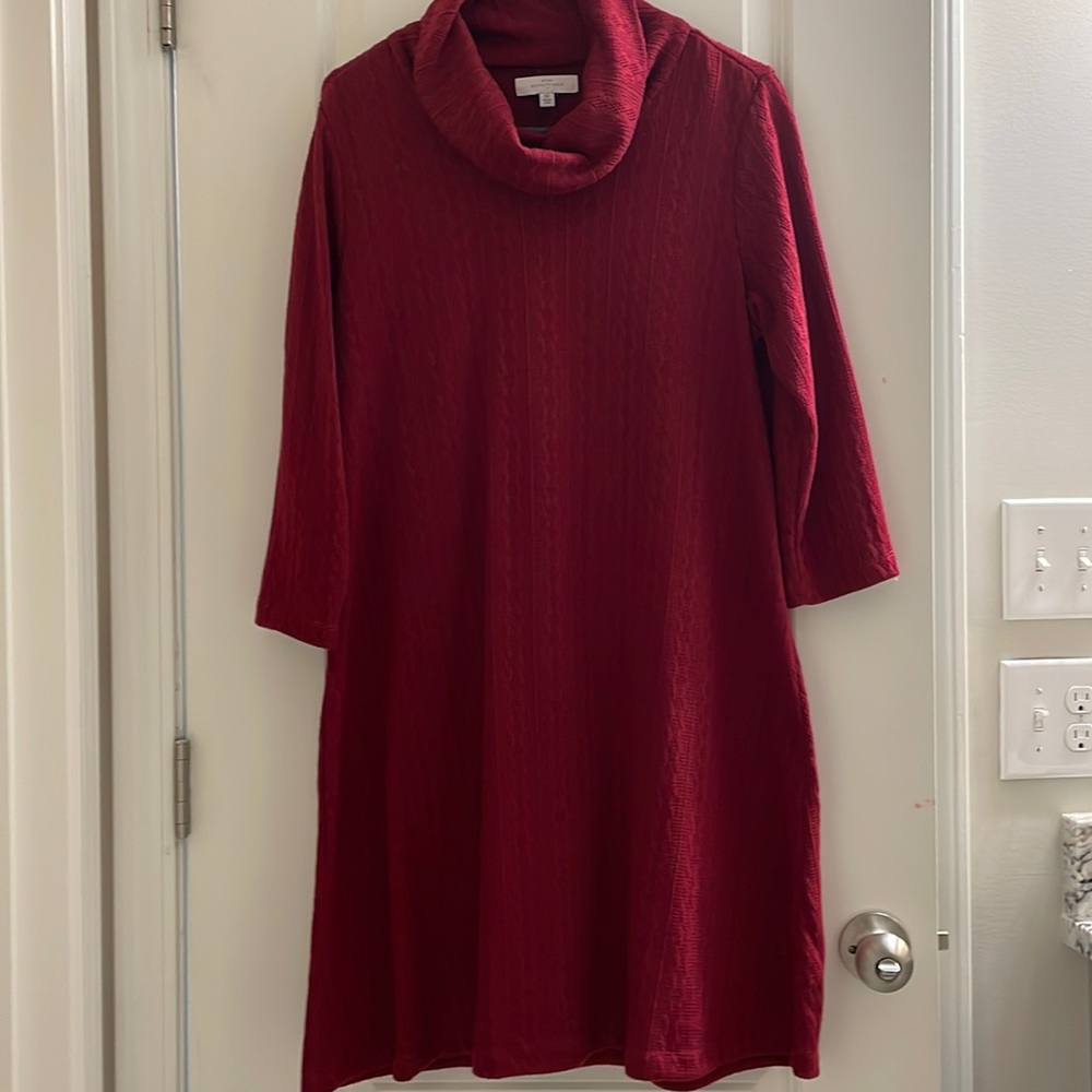 Women’s red sweater dress